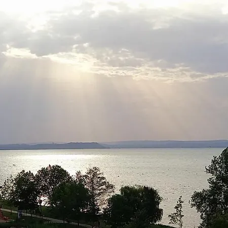 Ikon * シオーフォク